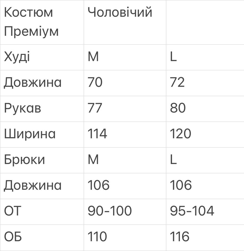 Спортивний костюм чоловічий Преміум з худі весна осінь 382 фото